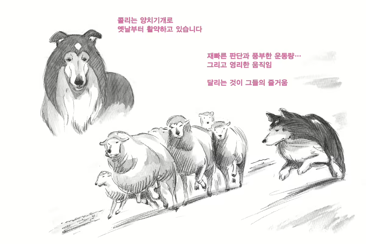 Content 1564123 - 36 페이지