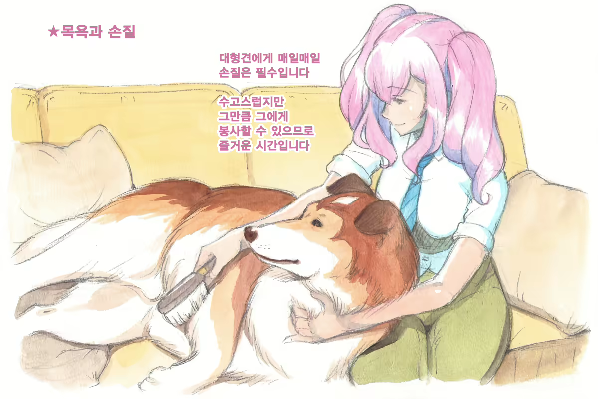 Content 1564123 - 48 페이지