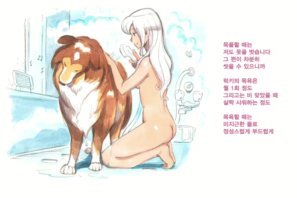 Content 1564123 - 49 페이지