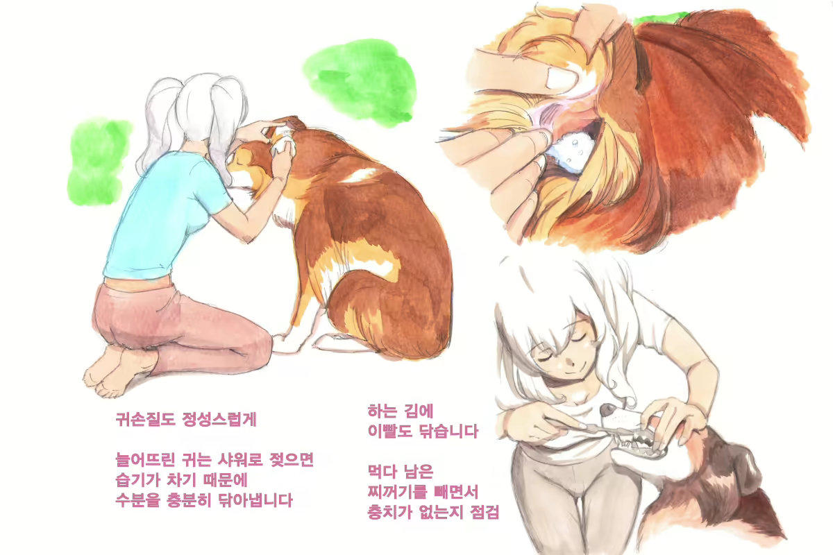 Content 1564123 - 57 페이지