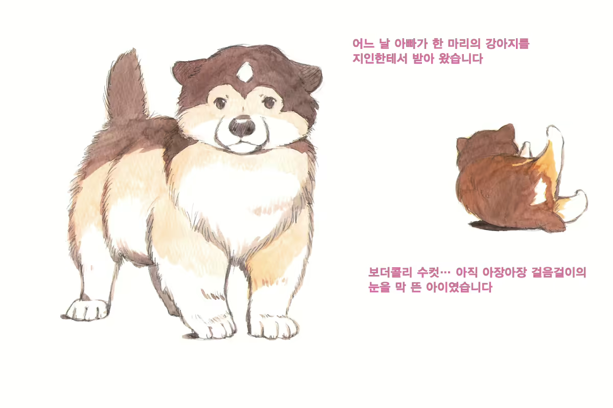 Content 1564123 - 60 페이지