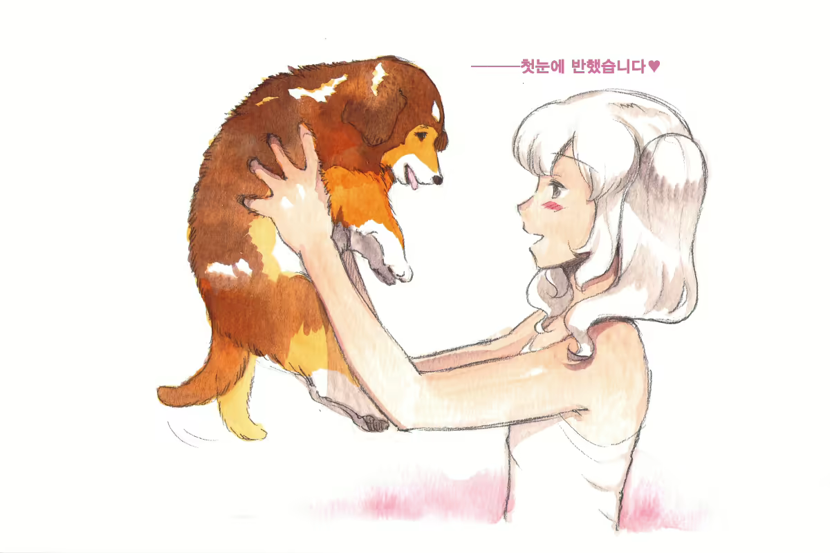 Content 1564123 - 61 페이지