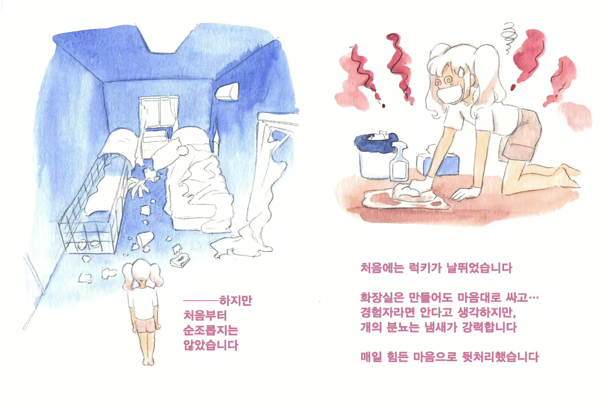Content 1564123 - 63 페이지