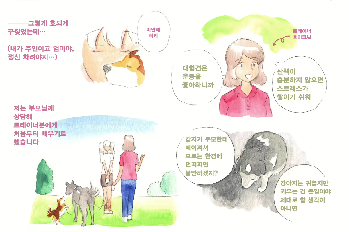 Content 1564123 - 66 페이지