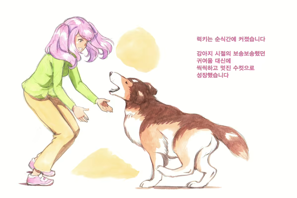Content 1564123 - 69 페이지