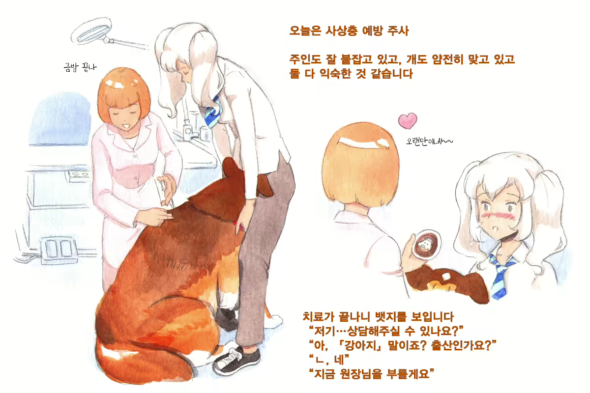 Content 1564123 - 7 페이지
