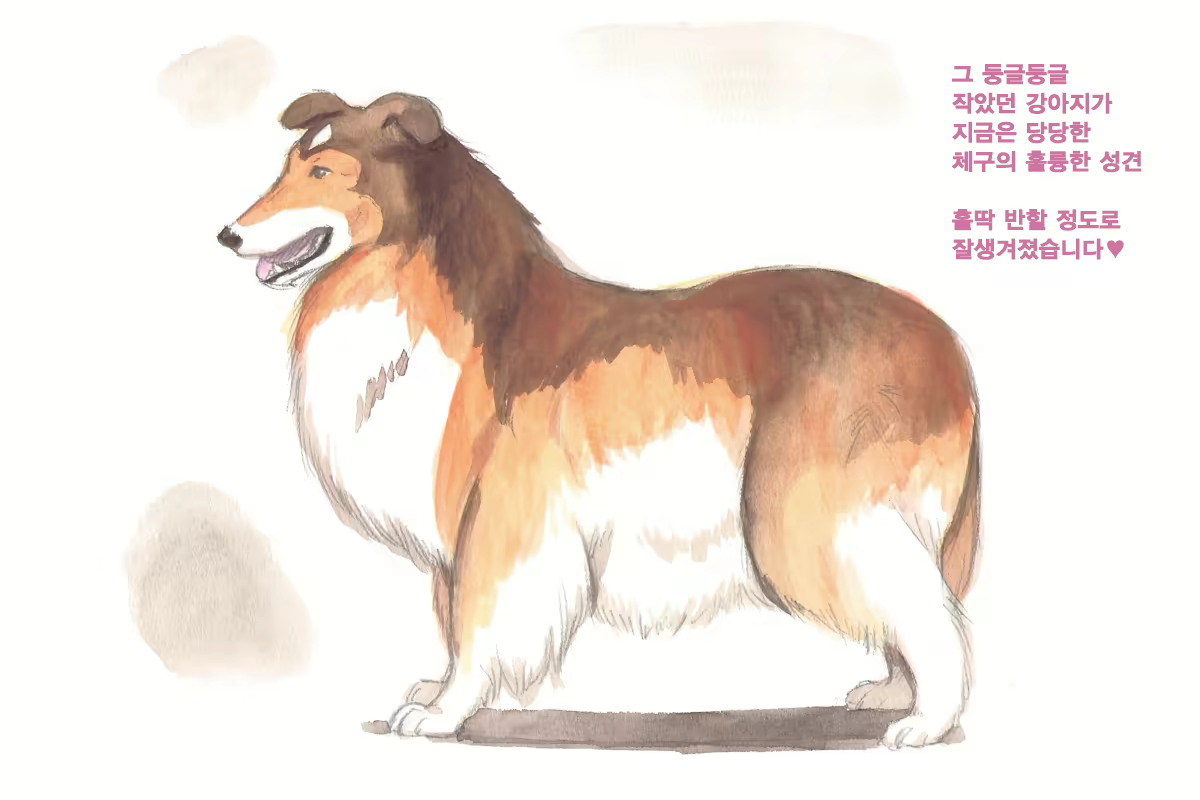 Content 1564123 - 70 페이지