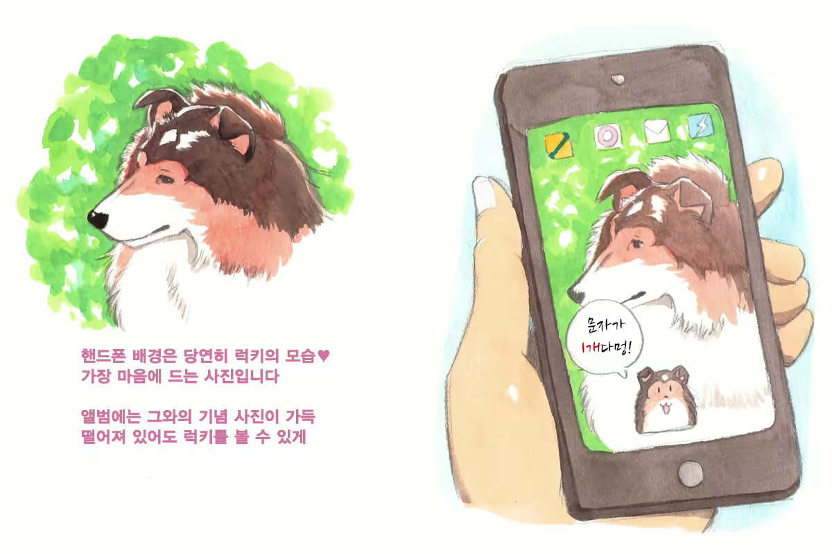 Content 1564123 - 71 페이지