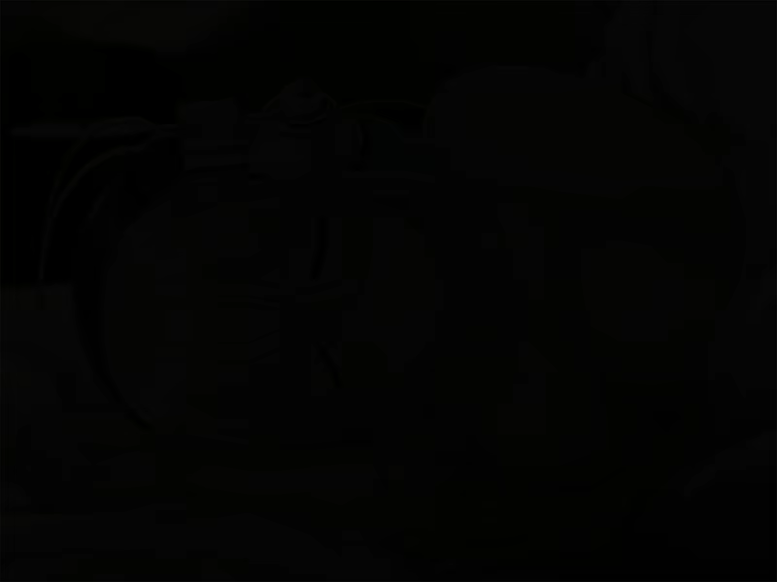 Content 1567668 - 280 페이지