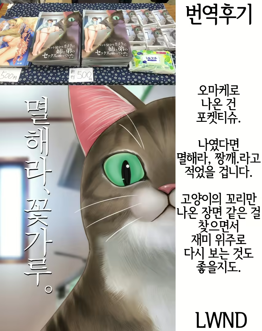 Content 1568436 - 35 페이지