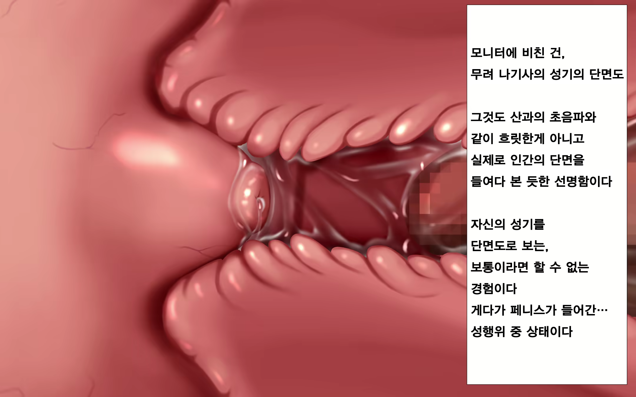 Content 1569658 - 144 페이지