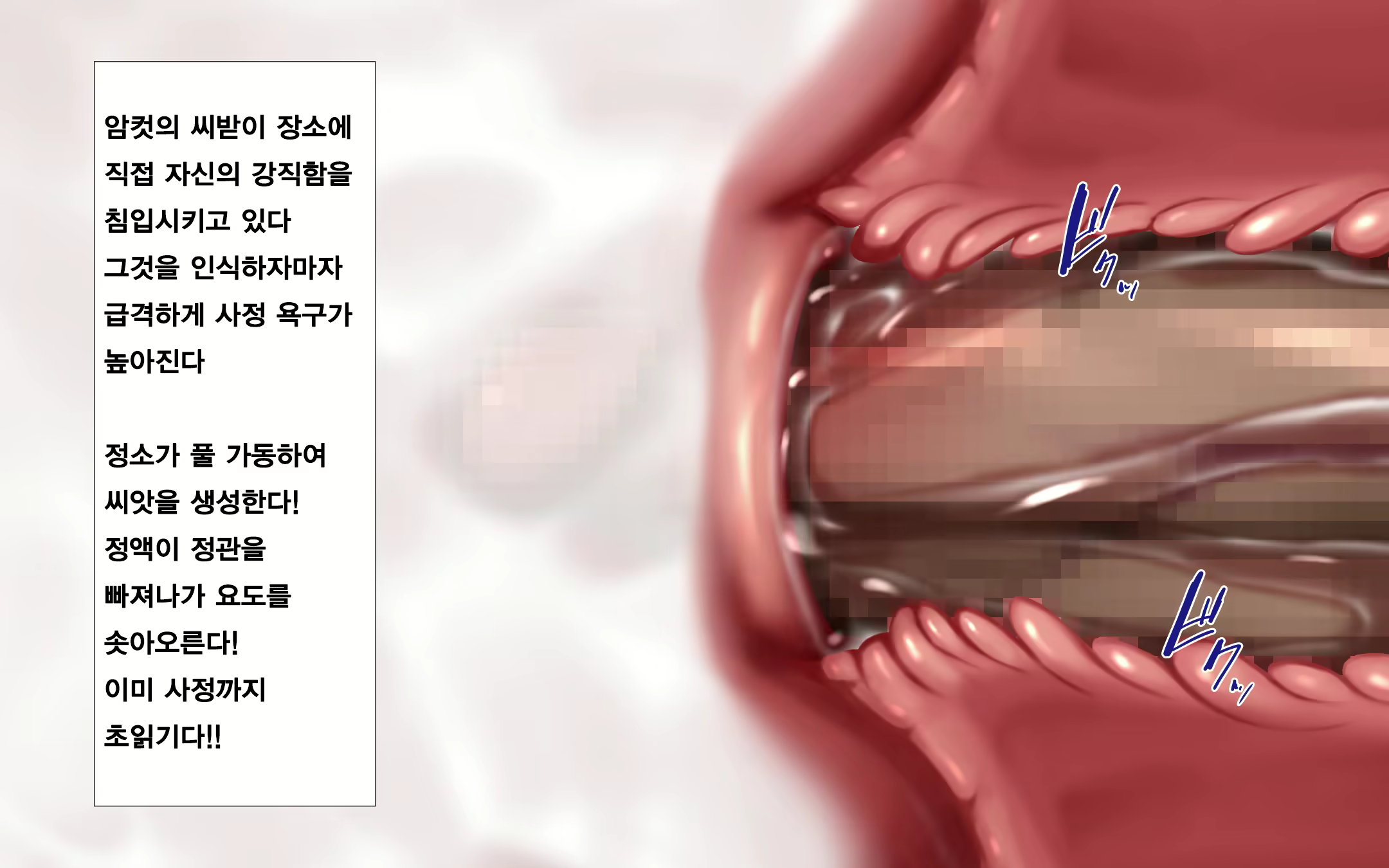 Content 1569658 - 223 페이지