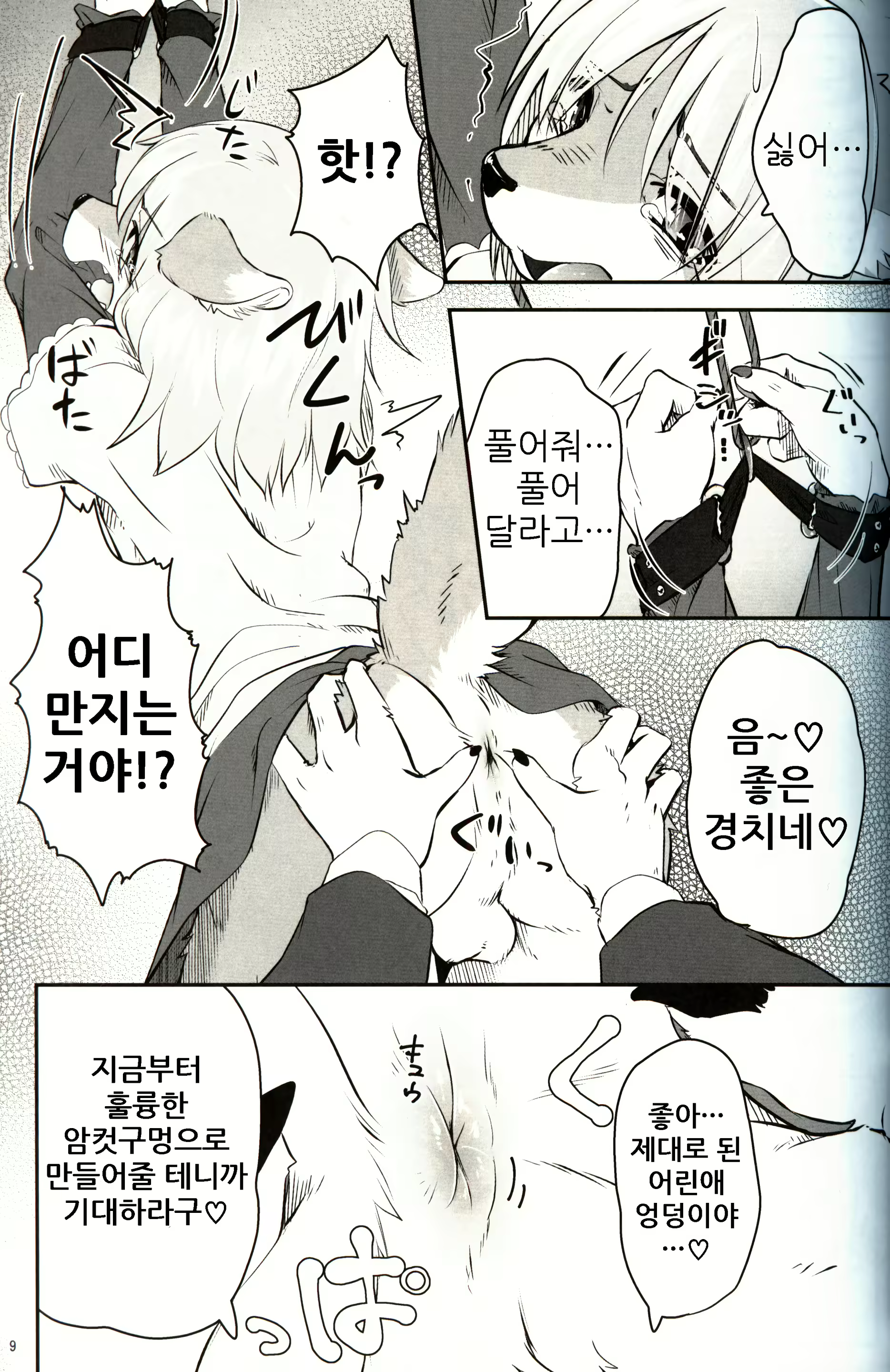 Content 1571864 - 9 페이지