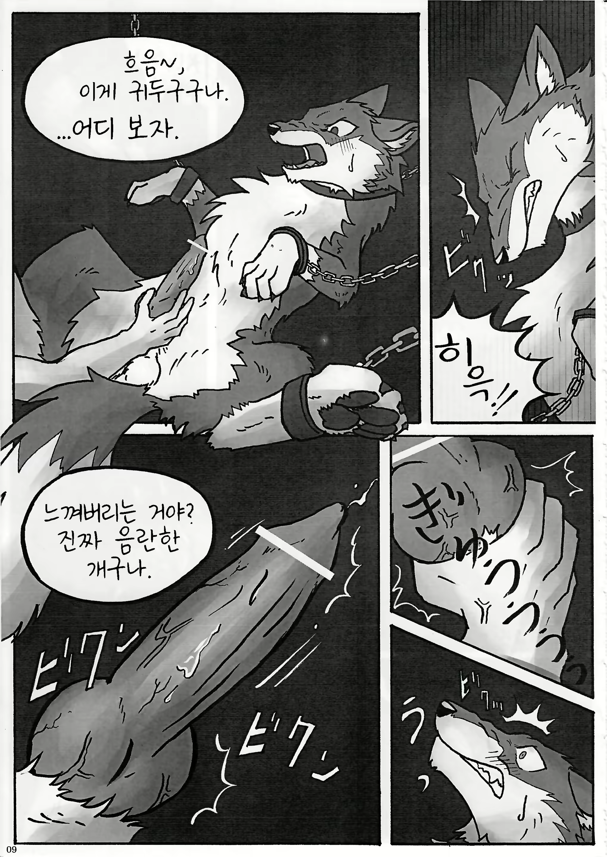 Content 1573624 - 11 페이지