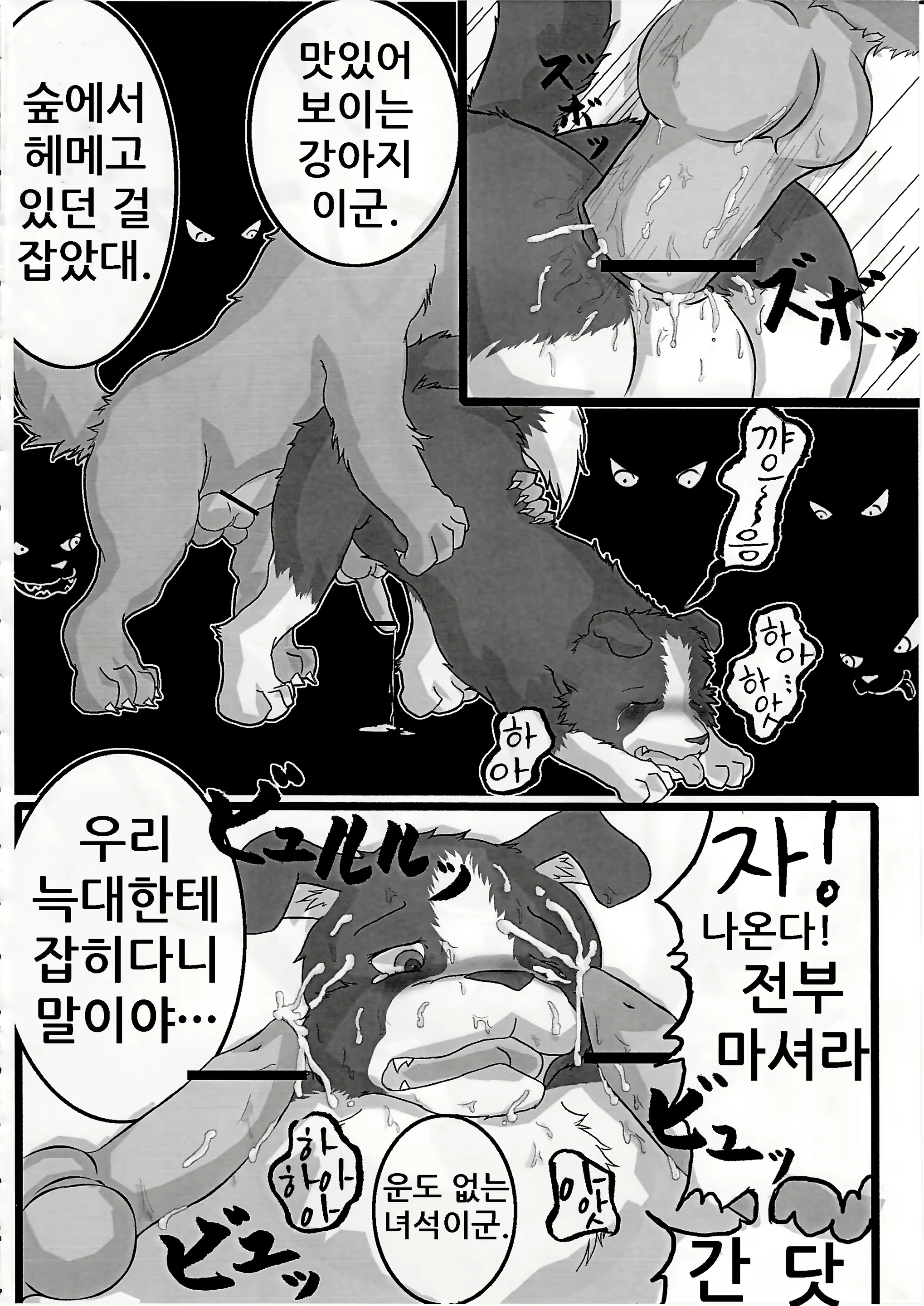 Content 1573624 - 43 페이지
