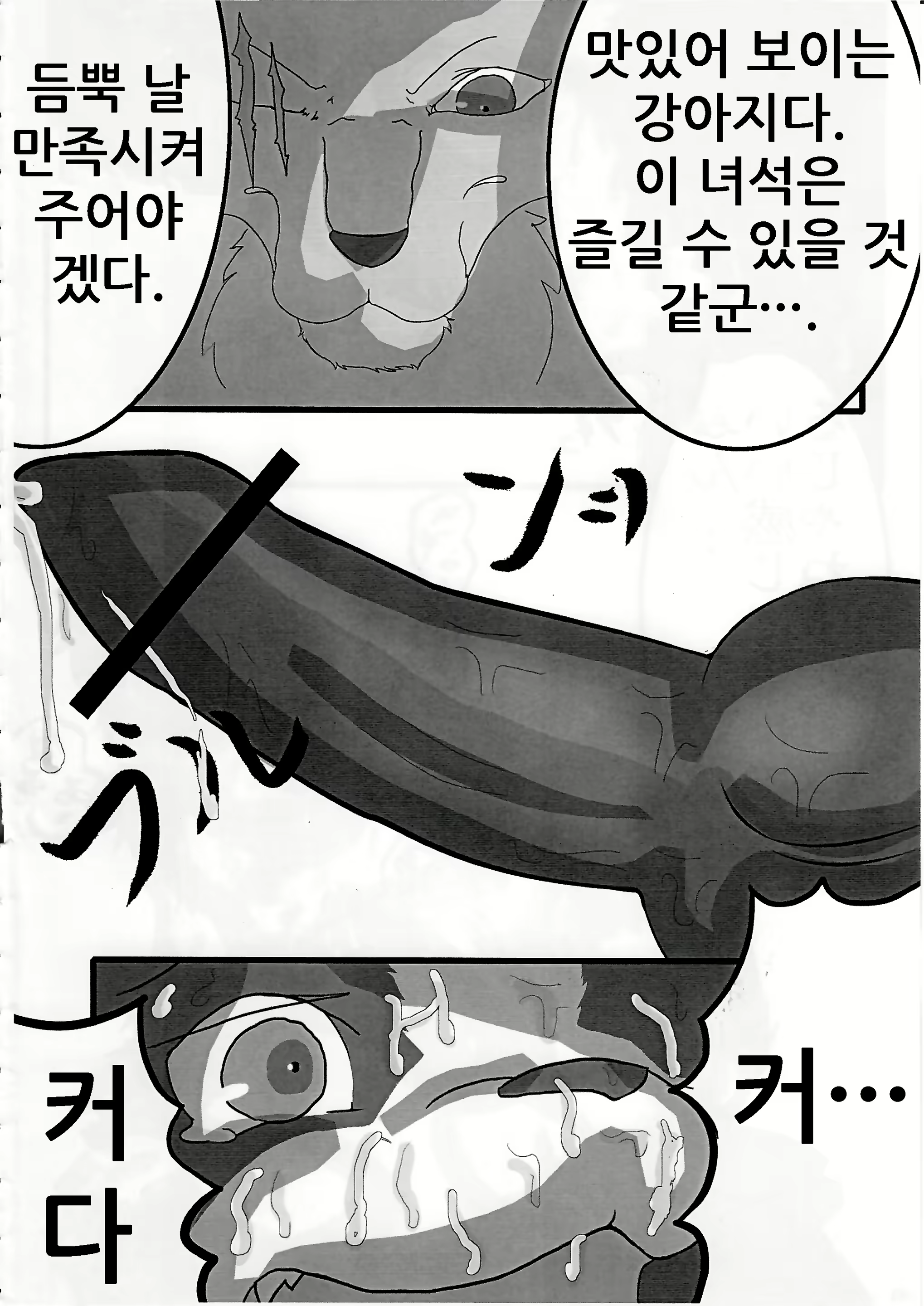 Content 1573624 - 49 페이지