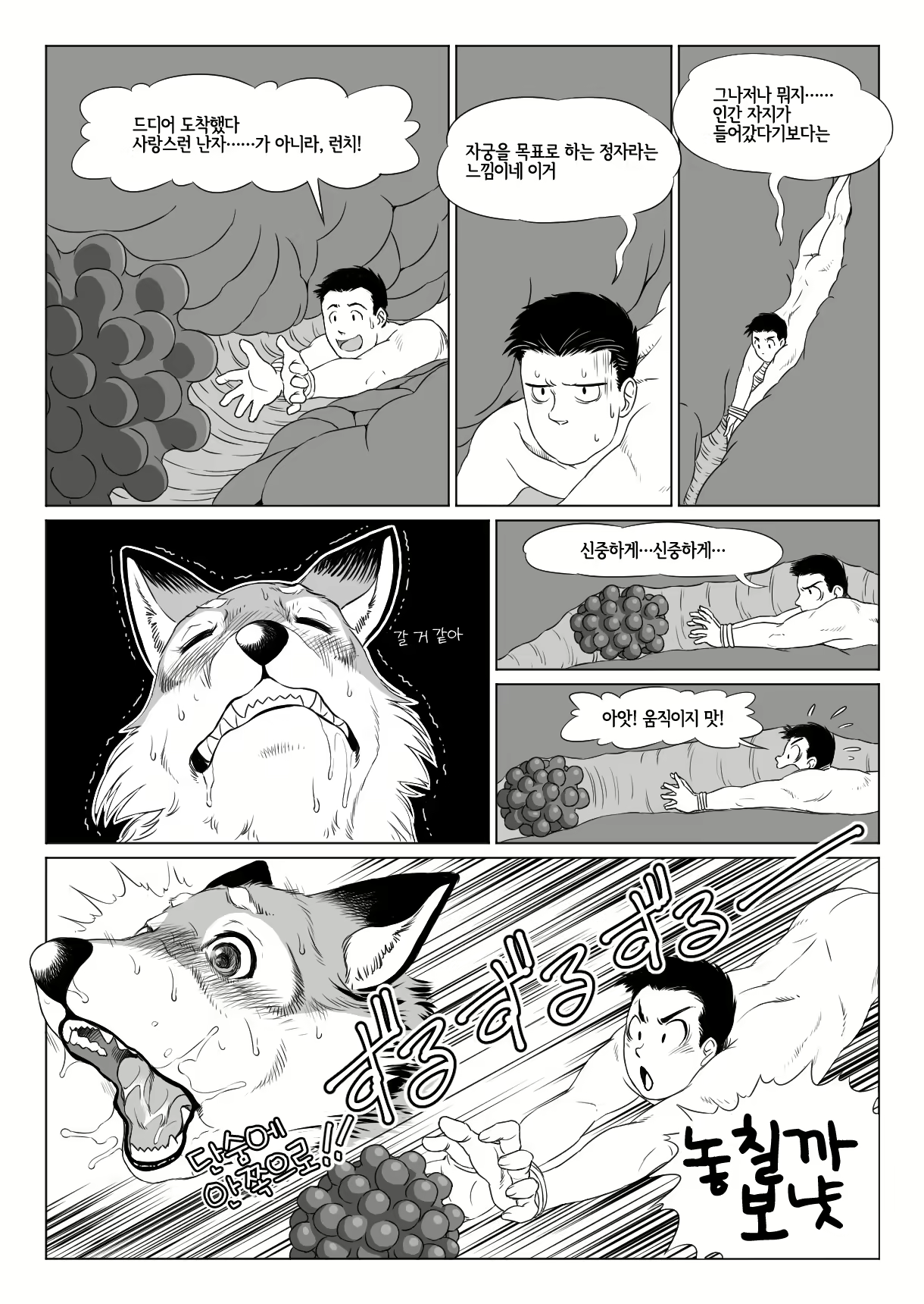 Content 1575446 - 14 페이지