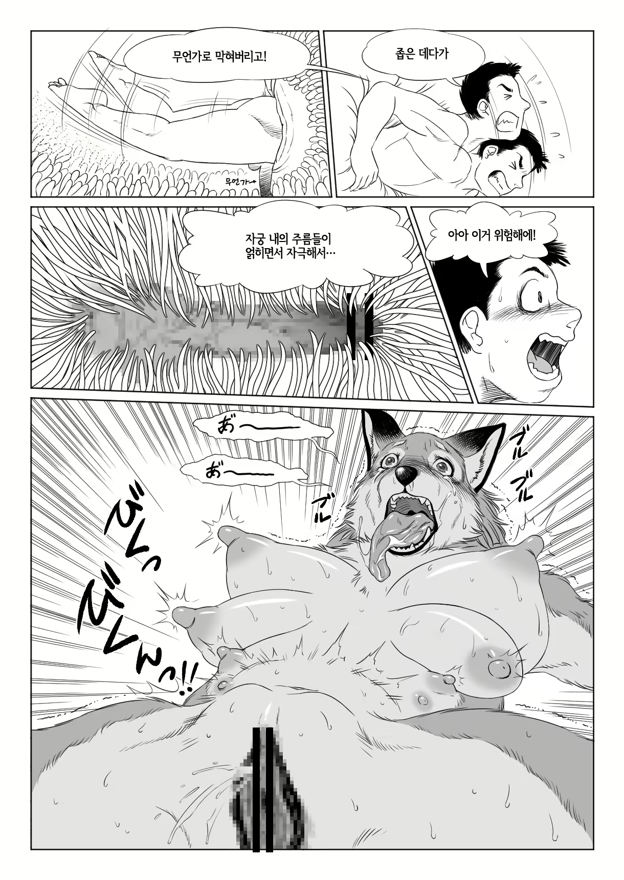 Content 1575446 - 17 페이지
