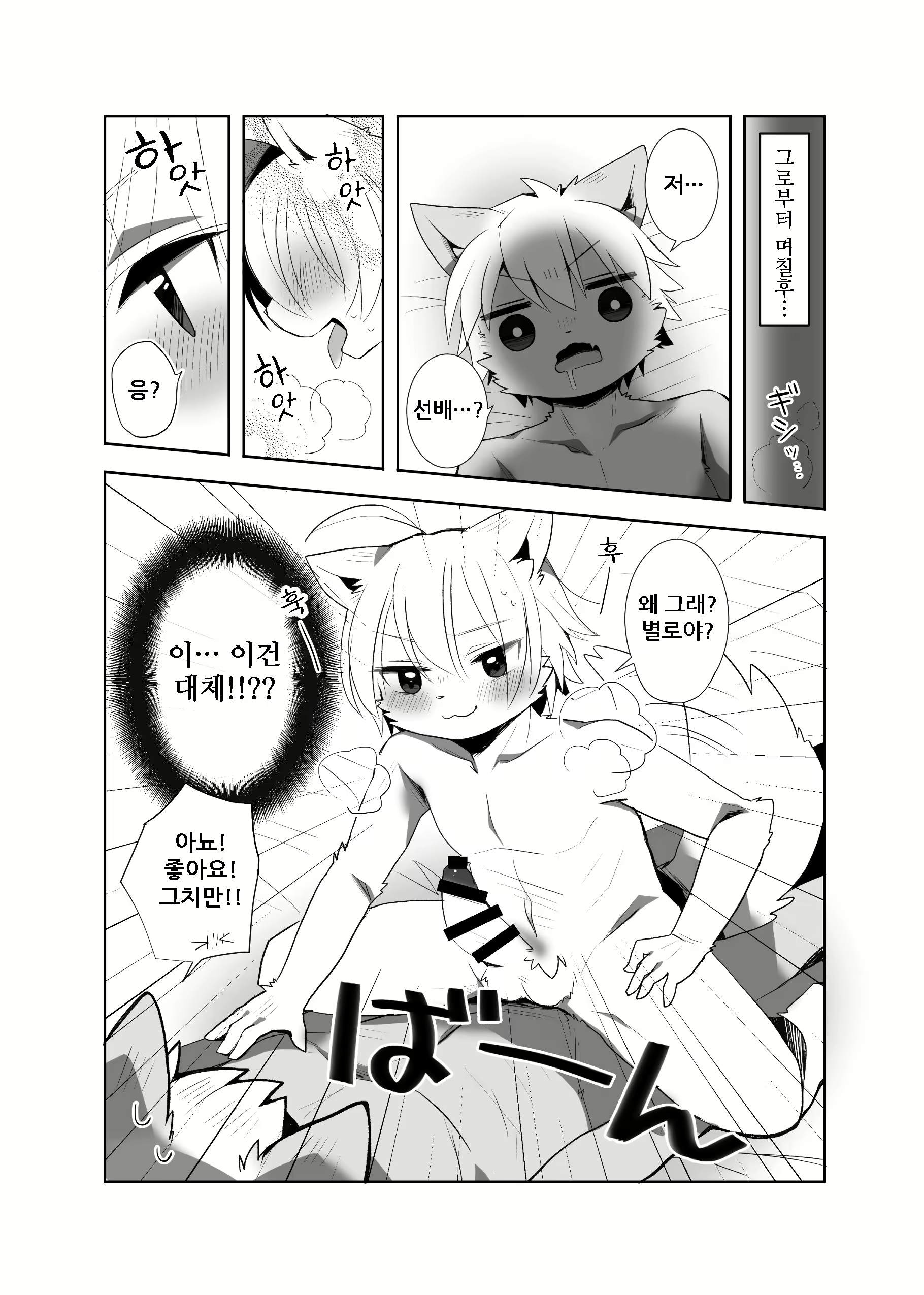 Content 1577995 - 51 페이지