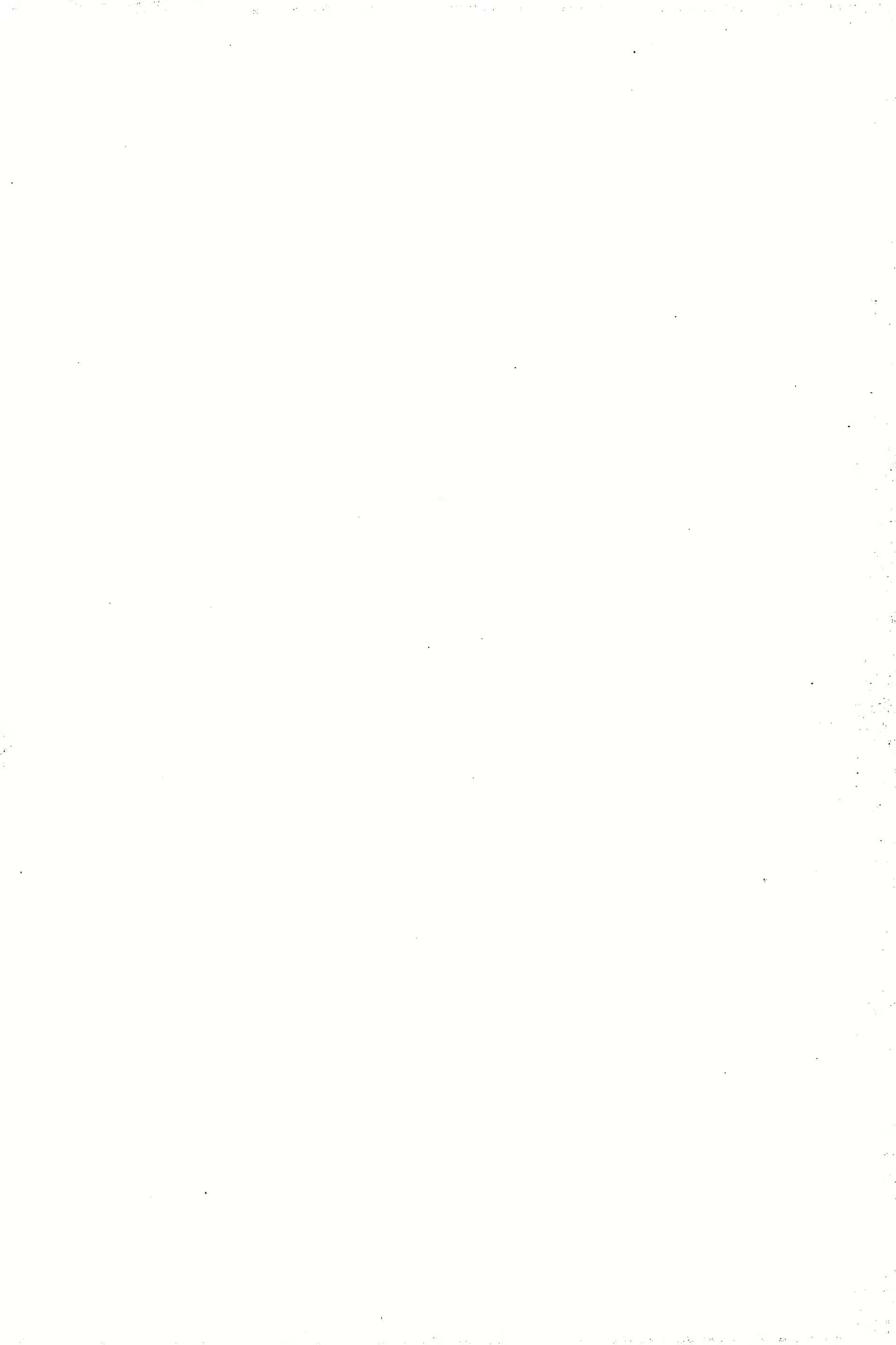 Content 1579740 - 2 페이지