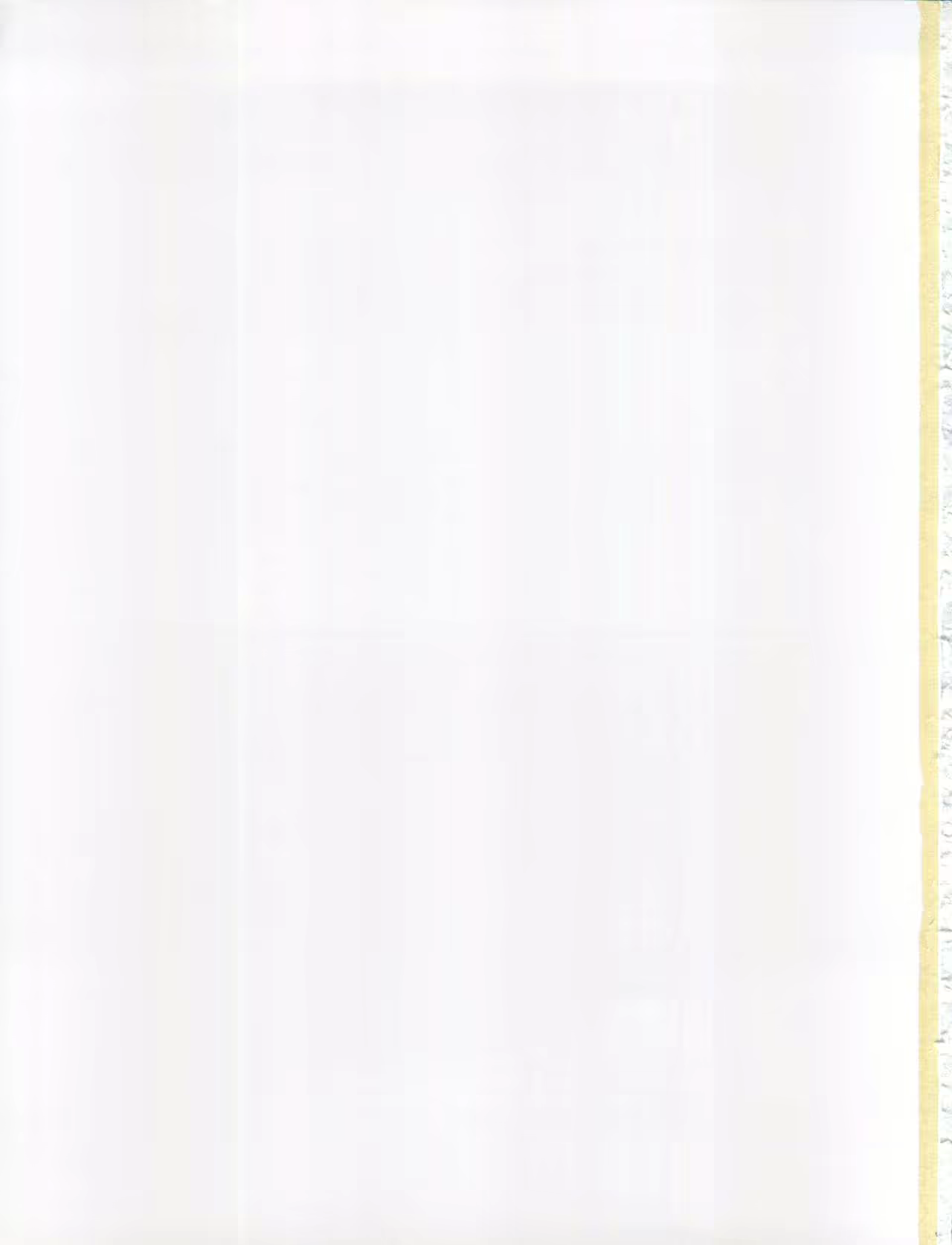 Content 1582425 - 28 페이지