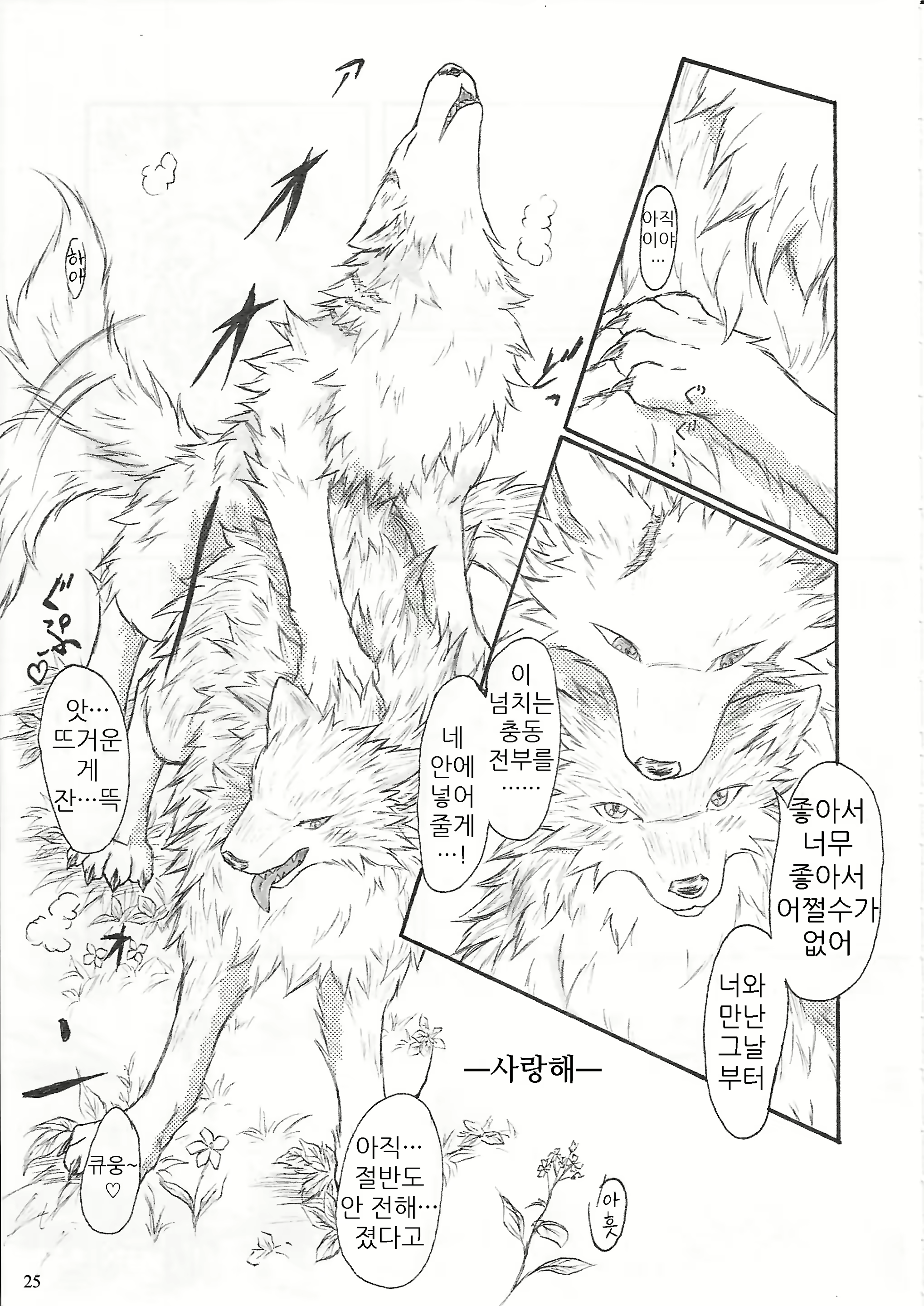 Content 1582440 - 27 페이지
