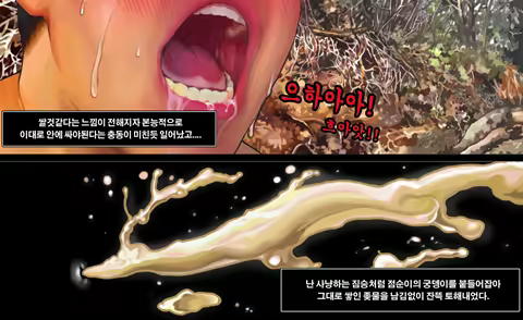 Content 1583801 - 23 페이지