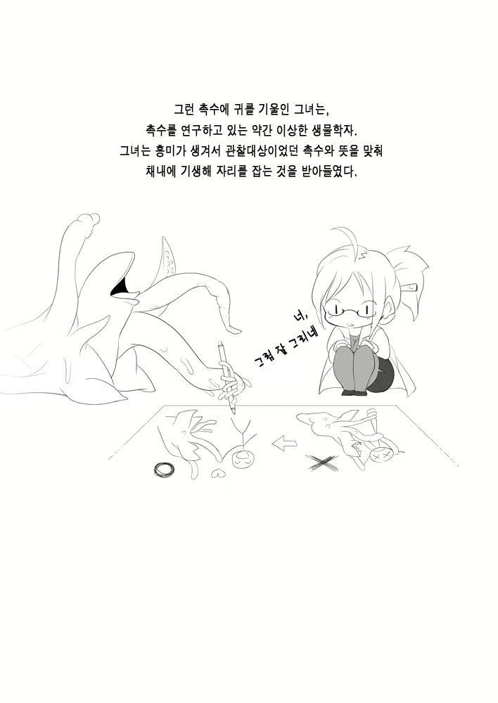 Content 1584669 - 3 페이지