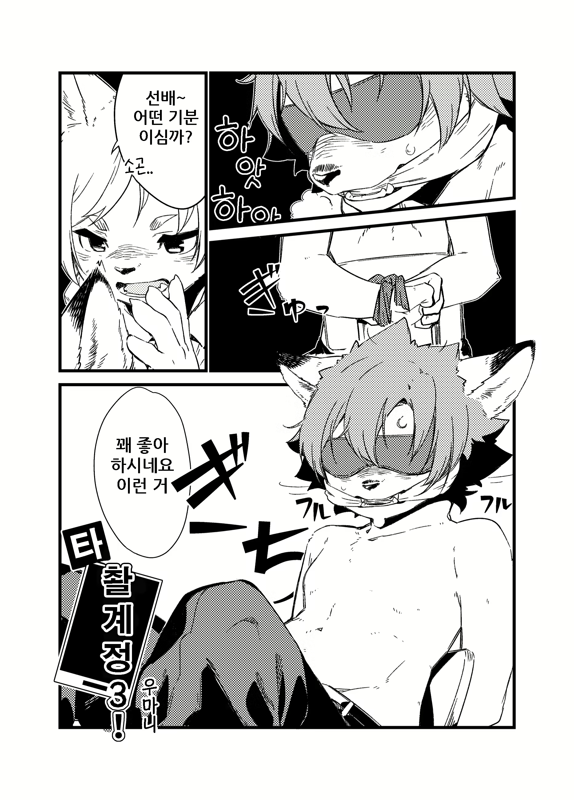 Content 1586501 - 38 페이지