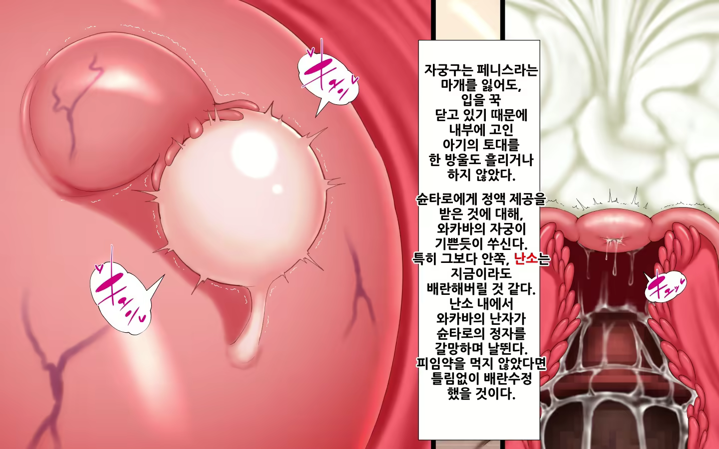 Content 1591087 - 322 페이지