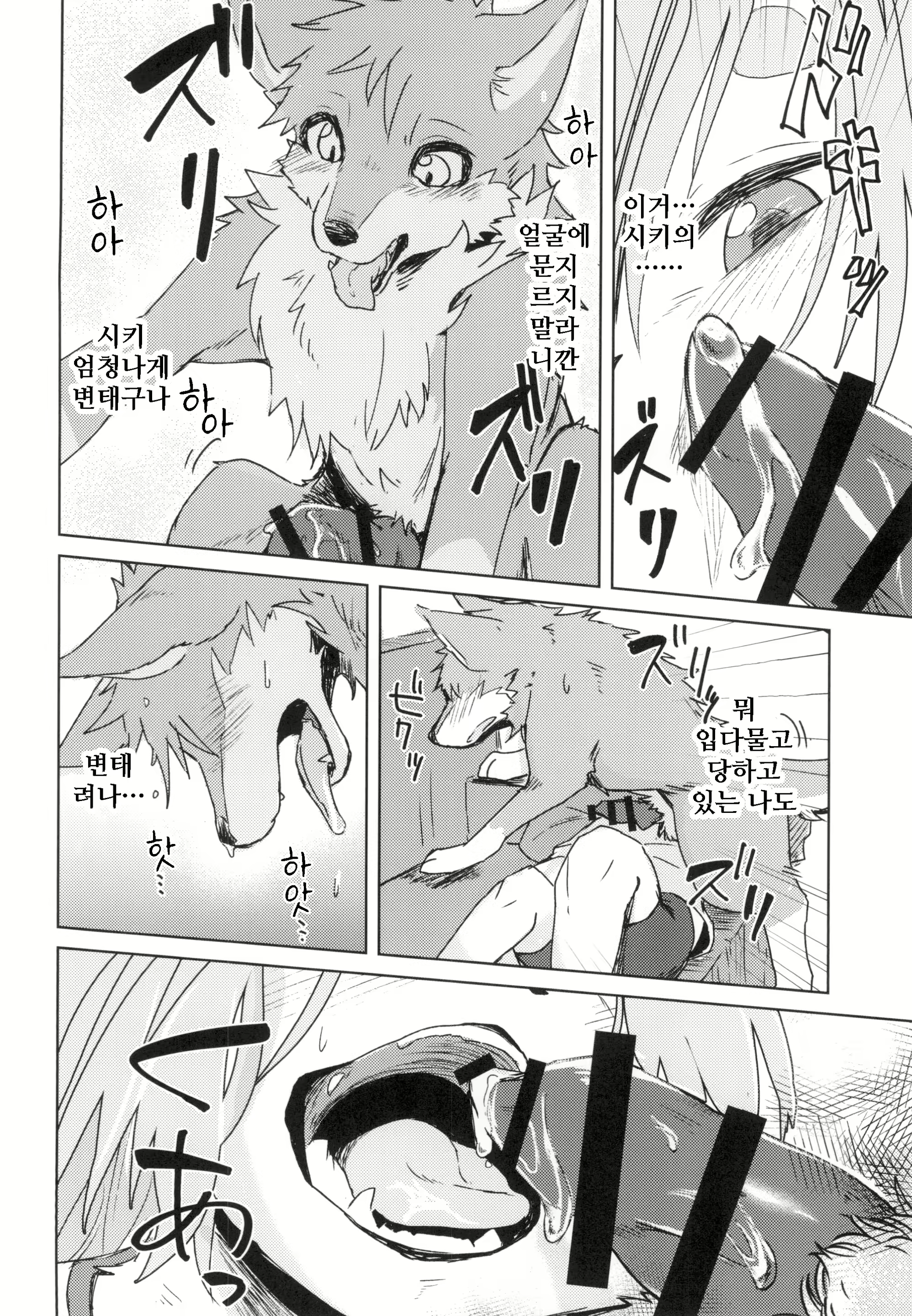Content 1593992 - 15 페이지