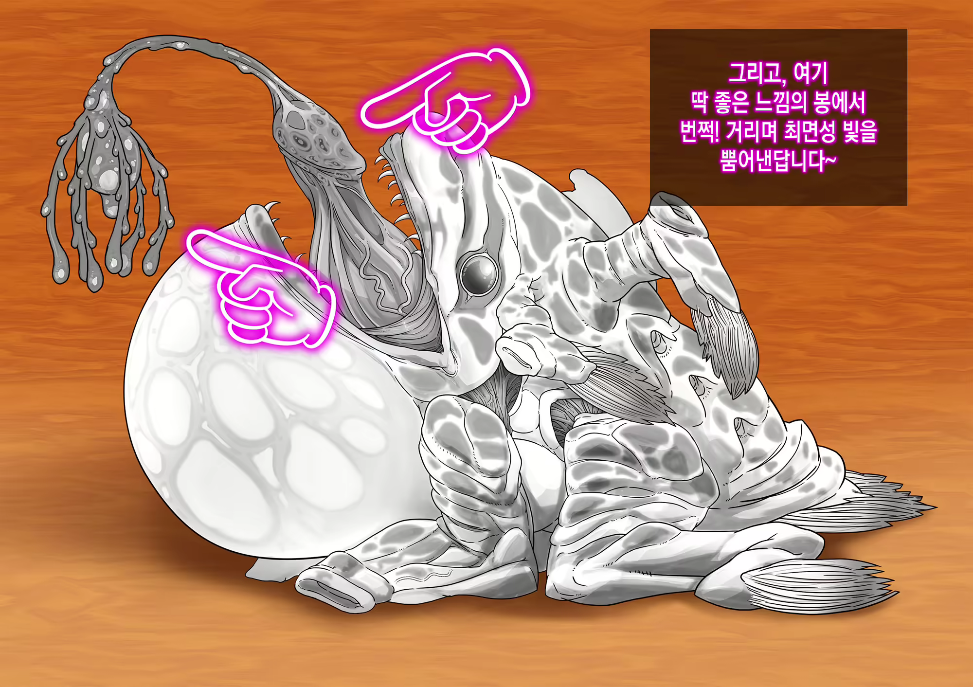 Content 1596569 - 16 페이지