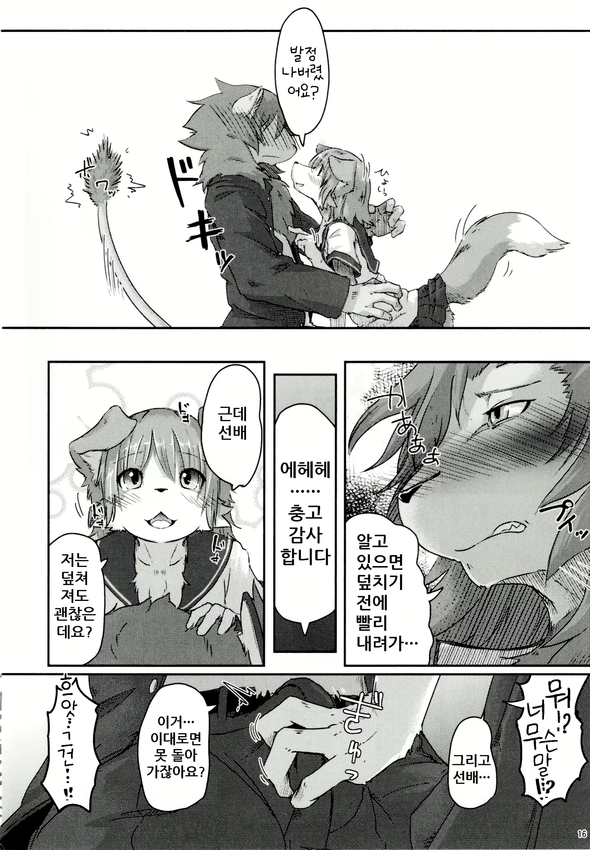 Content 1597784 - 16 페이지