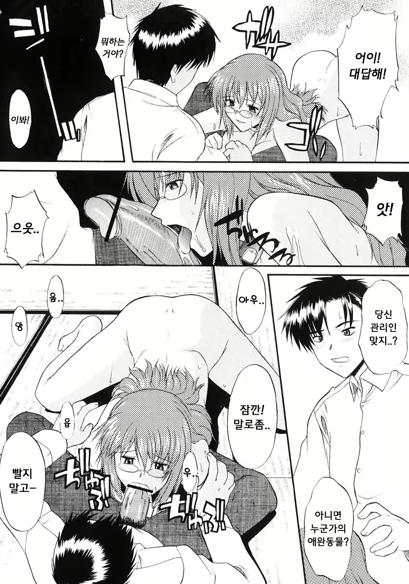 Content 1606742 - 11 페이지