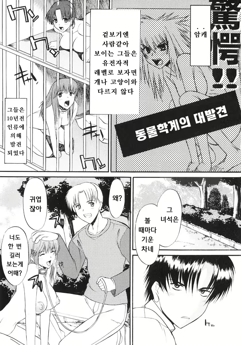 Content 1606742 - 4 페이지