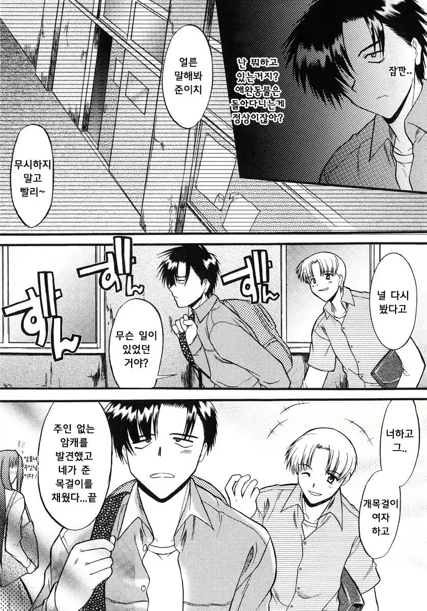 Content 1606742 - 41 페이지
