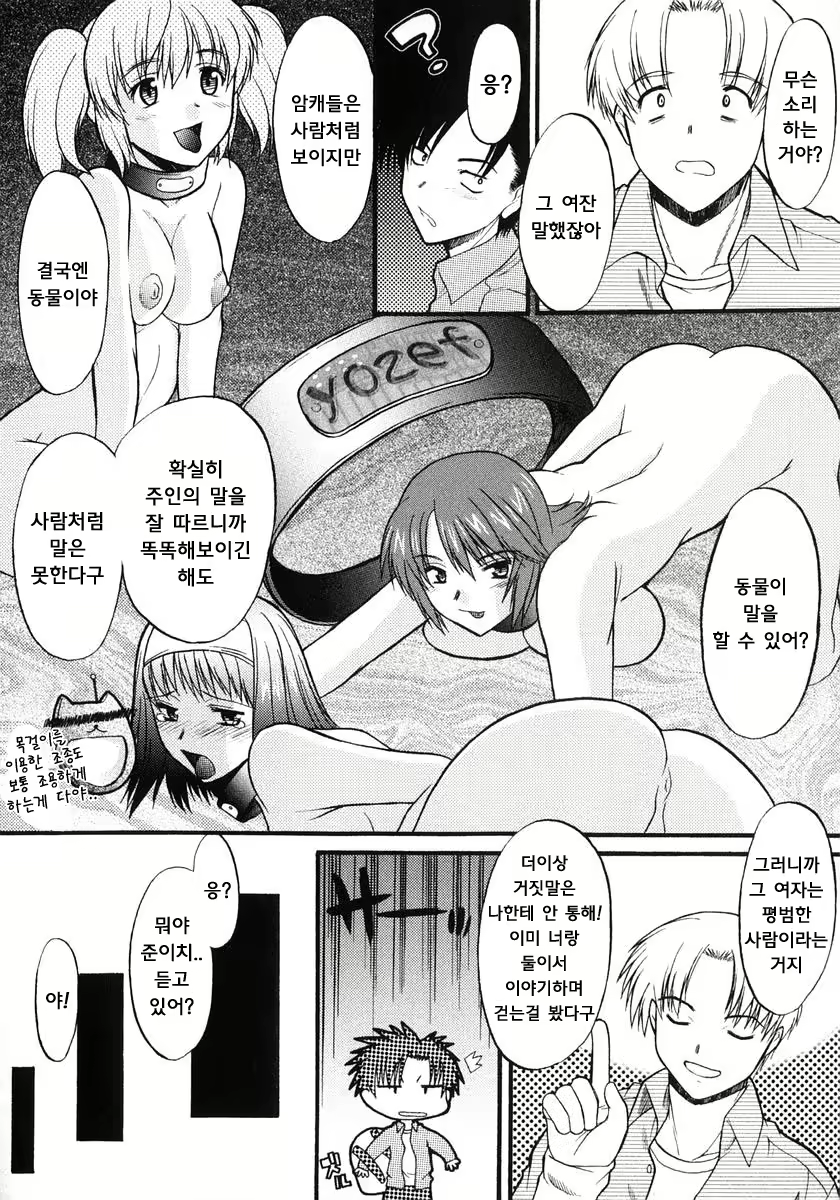 Content 1606742 - 42 페이지