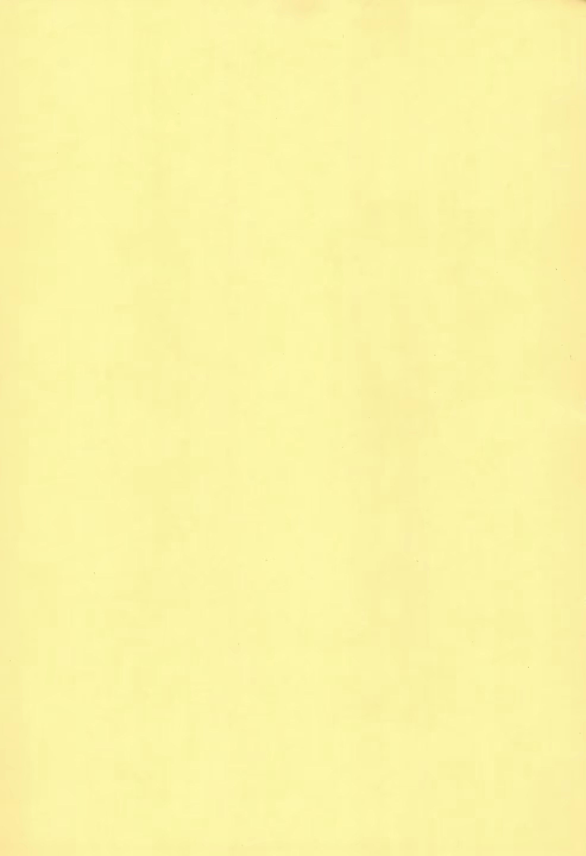 Content 1616234 - 3 페이지
