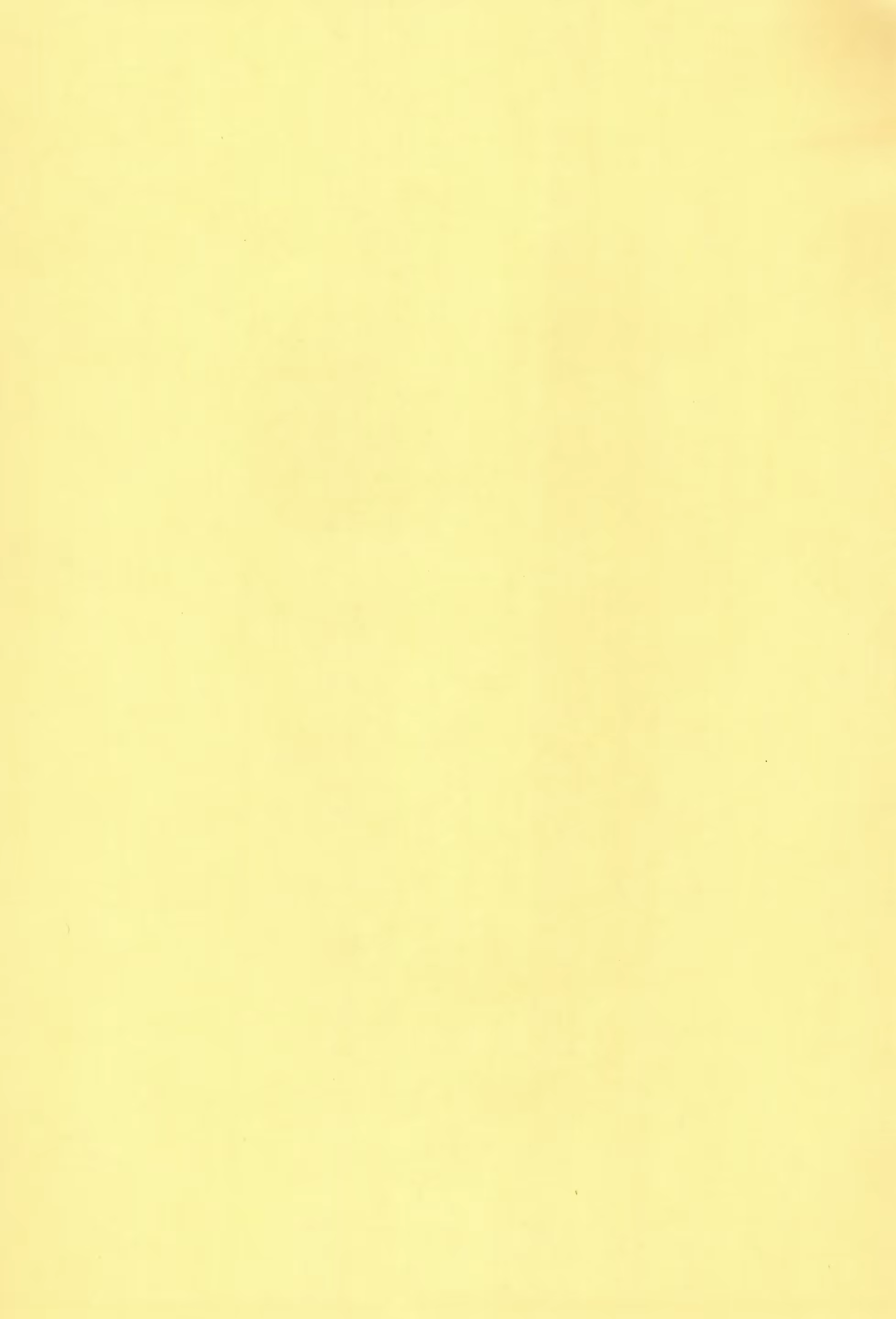Content 1616234 - 65 페이지