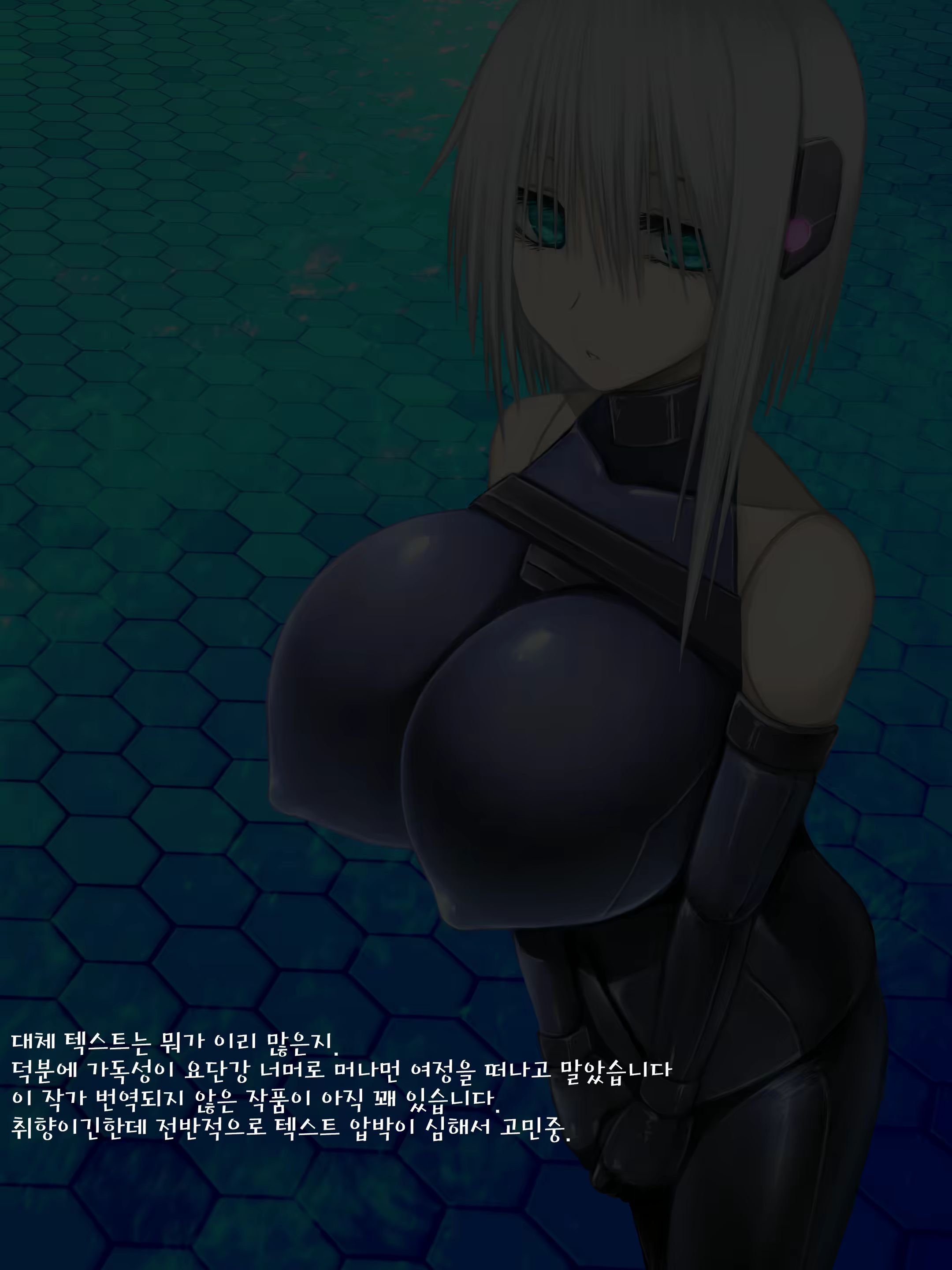 Content 1622497 - 81 페이지