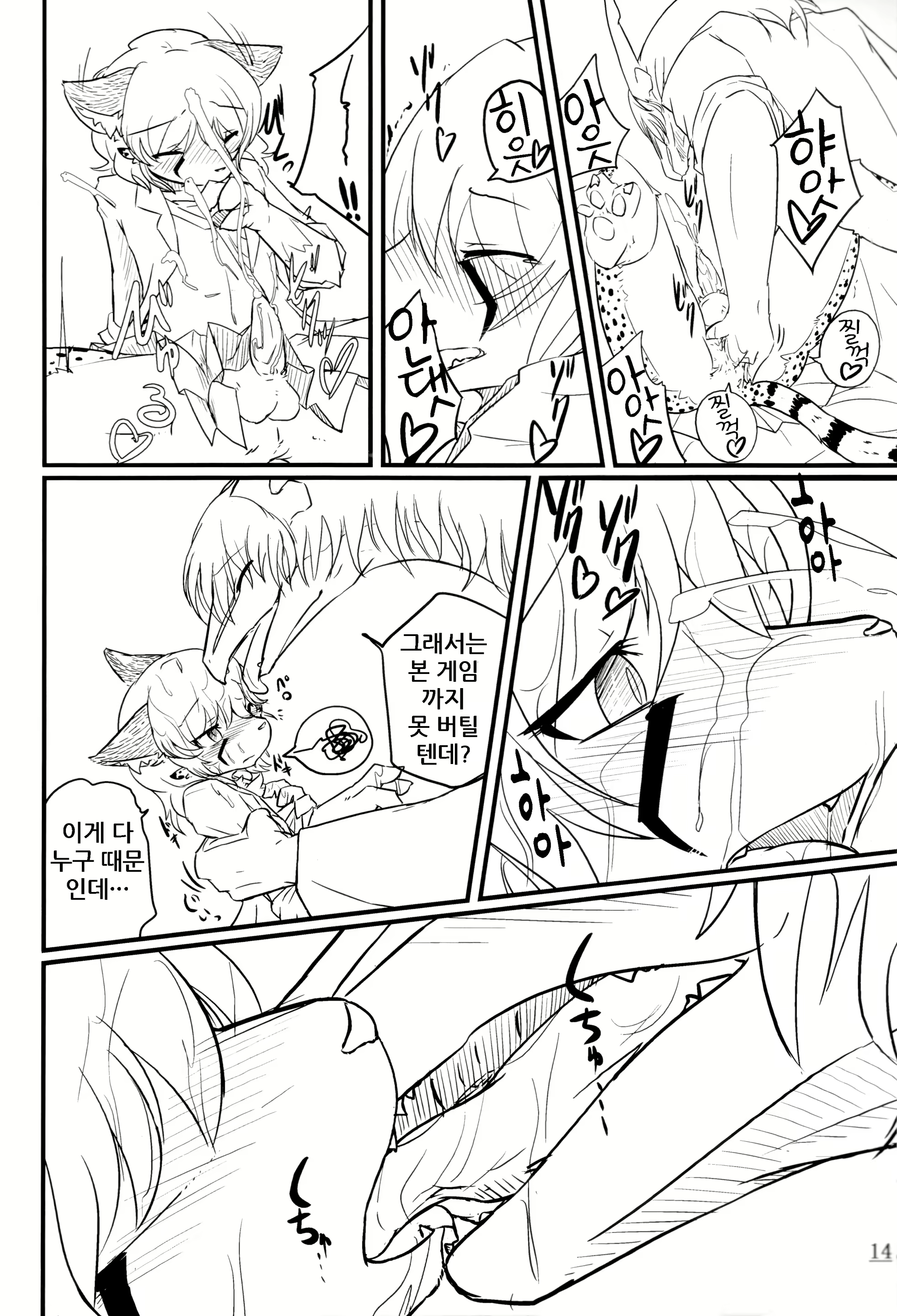 Content 1632486 - 14 페이지