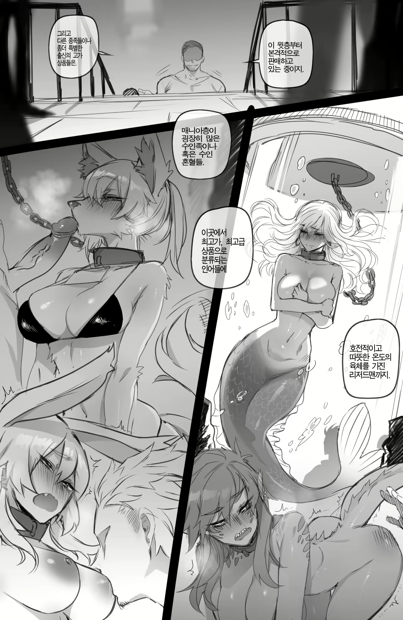 Content 1657983 - 16 페이지