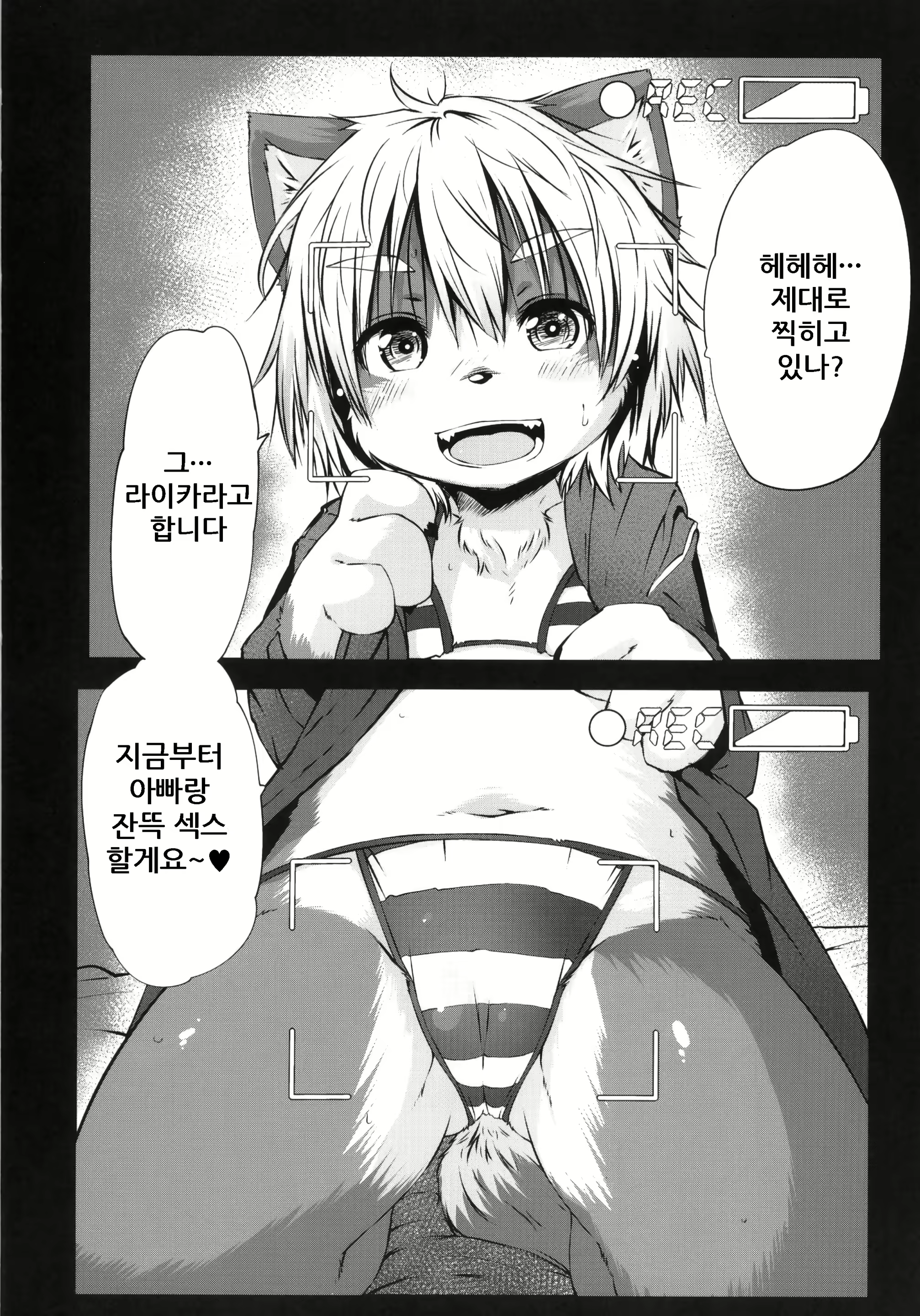 Content 1669320 - 7 페이지