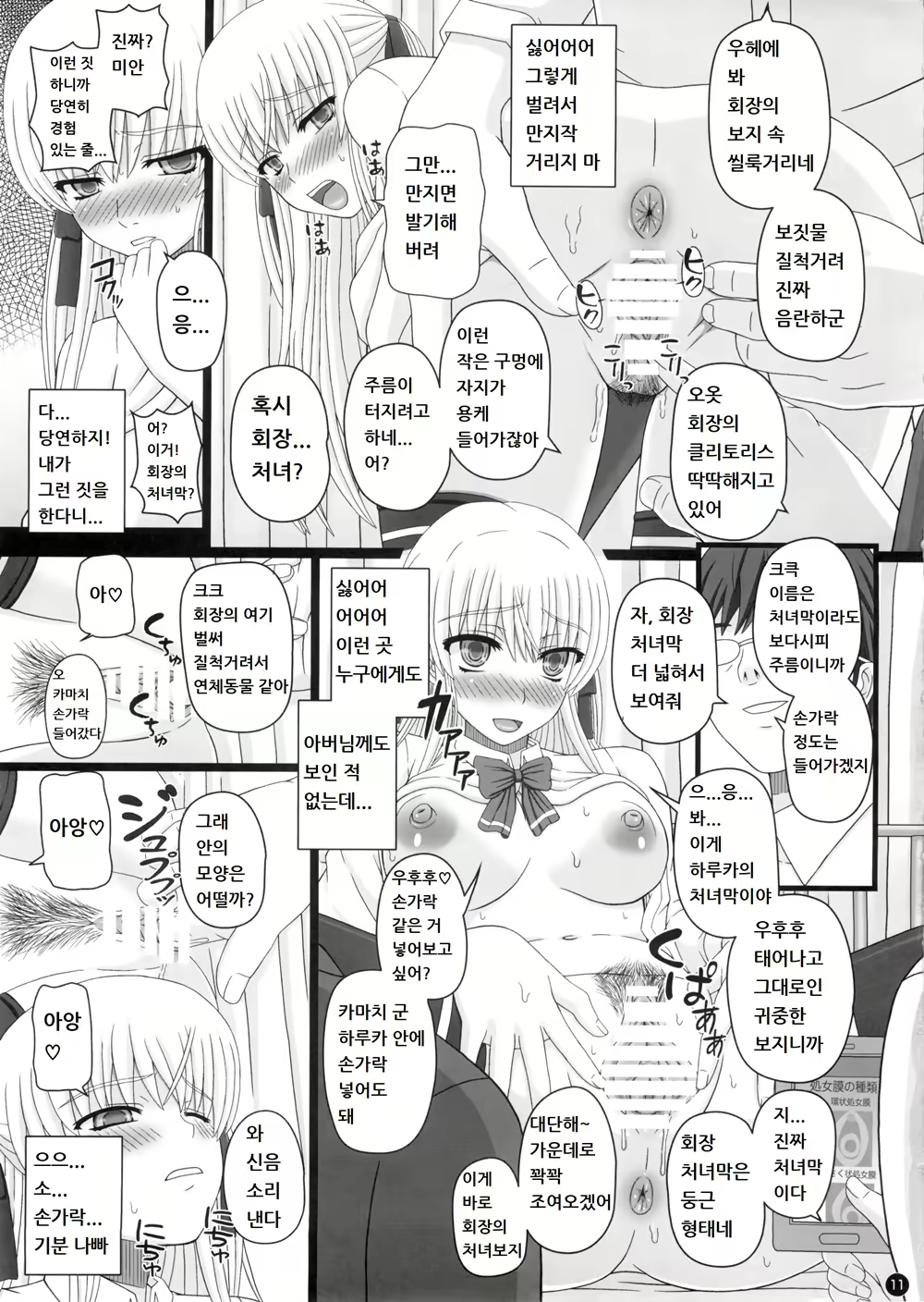 Content 1677269 - 11 페이지