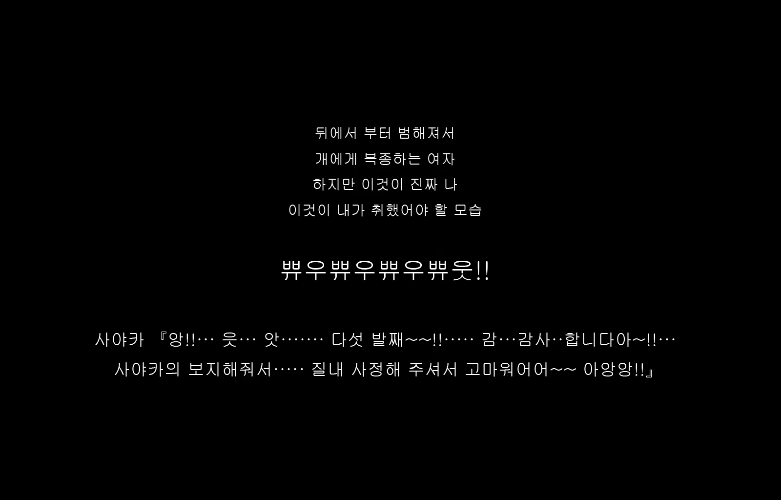 Content 1677371 - 144 페이지