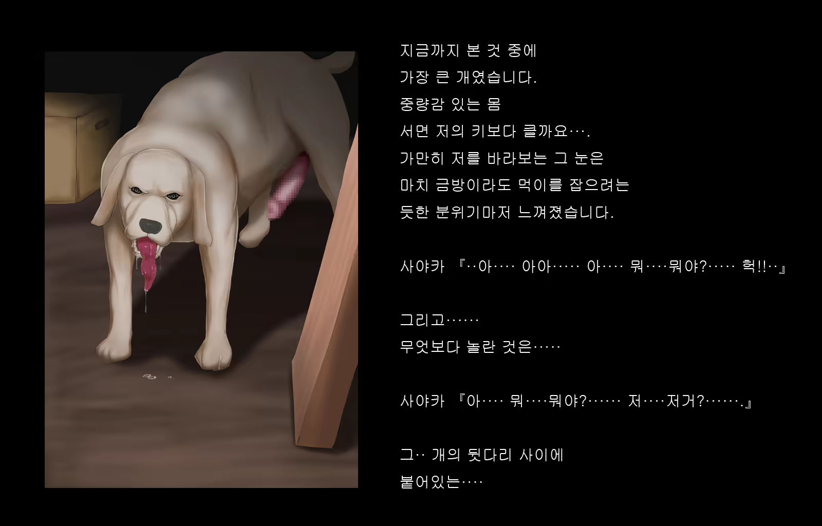 Content 1677371 - 15 페이지