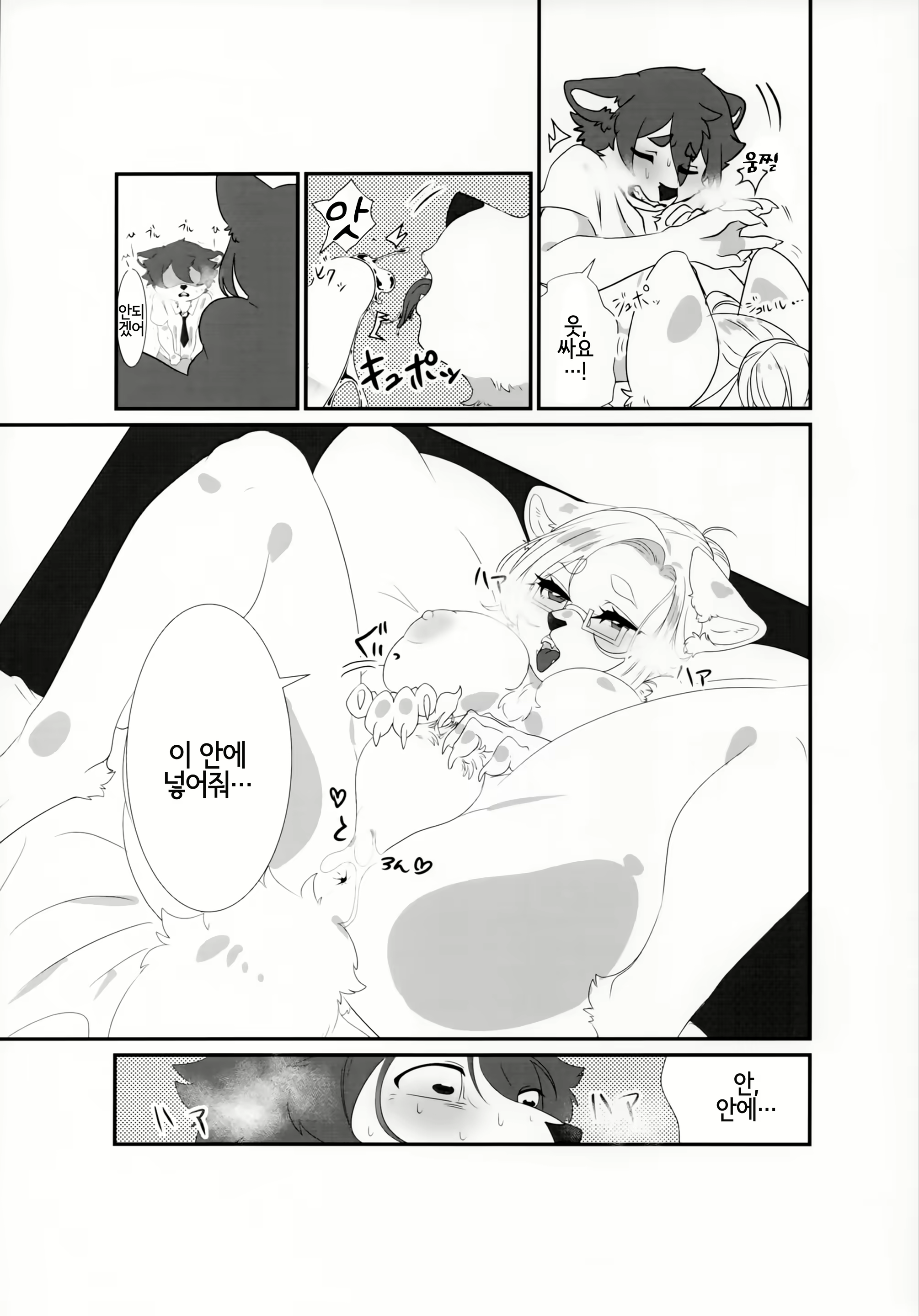 Content 1679873 - 19 페이지
