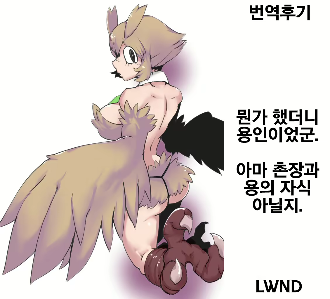 Content 1681310 - 14 페이지