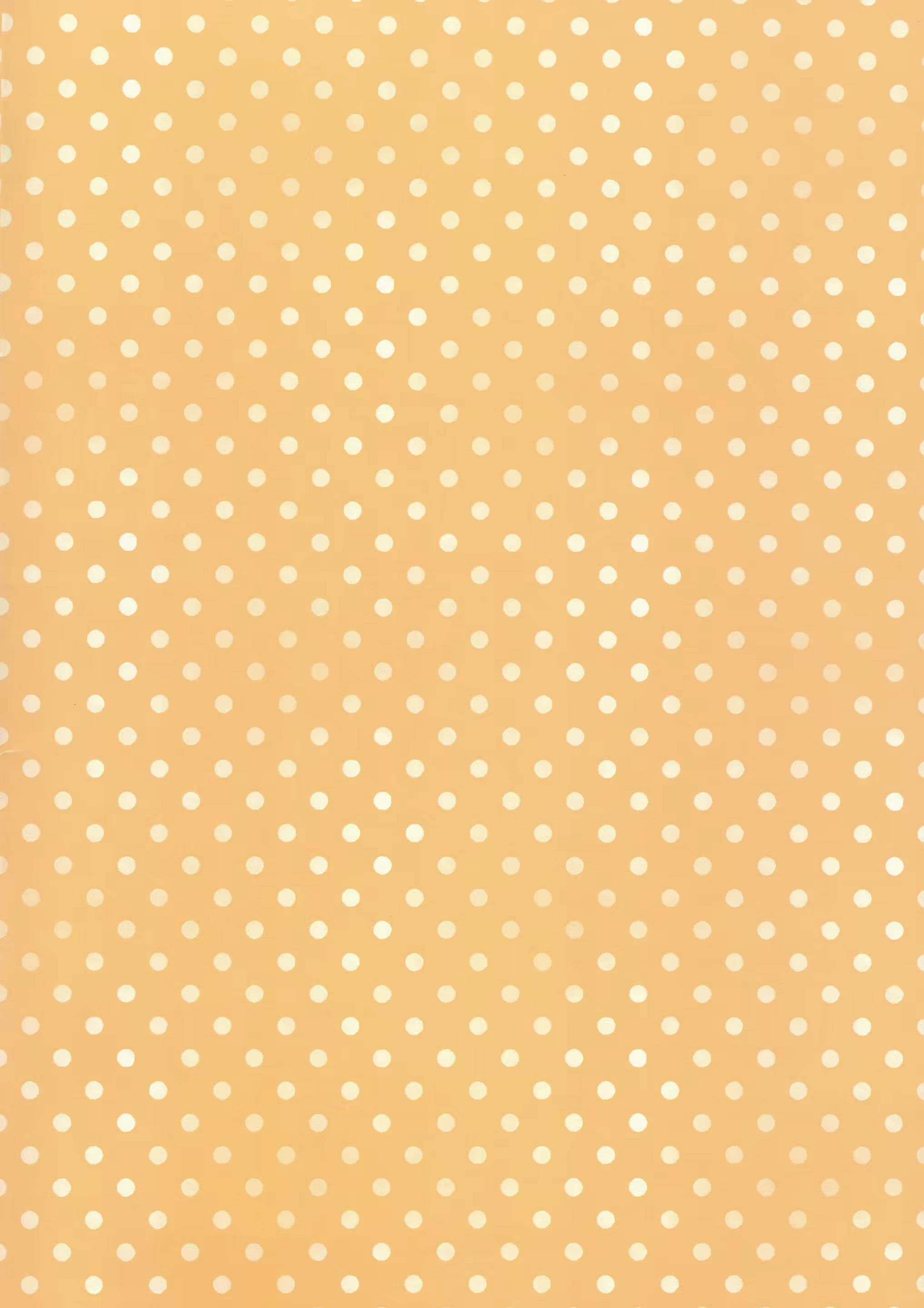 Content 1697371 - 2 페이지