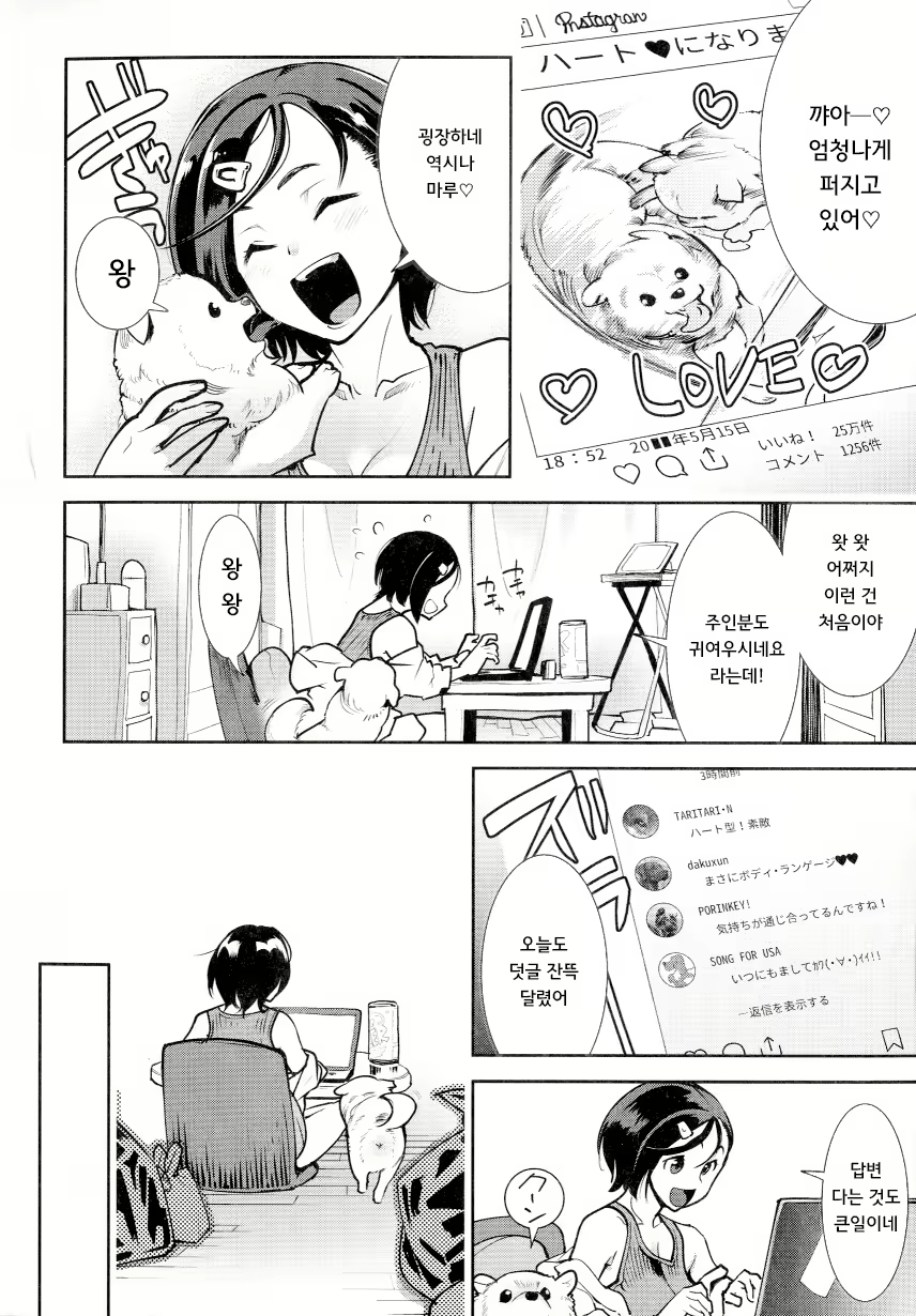 Content 1697408 - 146 페이지